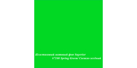 Superior #7100 SPRING GREEN фон пластиковый 1,0х1,3м матовый цвет светло-зеленый