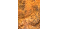 Grifon W-377 фон пятнистый цвета мокрого желтого песка с вкраплениями 2,7х5 м